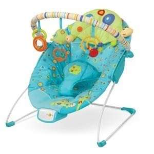 Teensy Turtle Cradling Bouncer